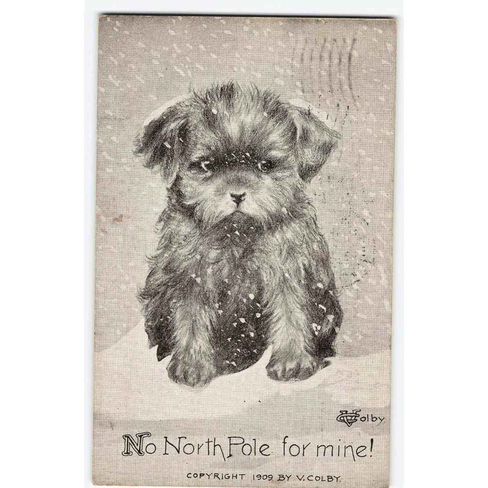 Antique 1909 V. Colby Artist Signed Postcard Puppy Dog Snow RPPC Style